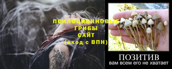 мескалин Балахна