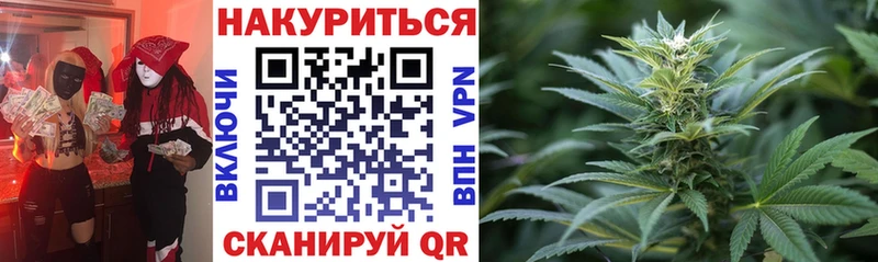 Бошки Шишки семена Пойковский